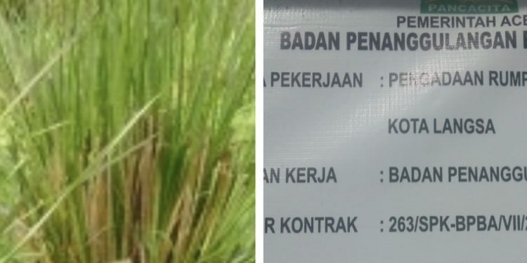 Pelaksana Proyek Penanaman Rumput Vetiver Klarifikasi Pemberitaan