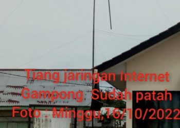 Program Smart City dan Smart Village Diduga Dikerjakan Pihak Ketiga Asal Jadi, Pemdes Dirugikan