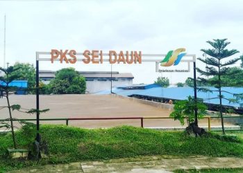 PKS Sei Daun PTPN 3 Terima Predikat Terbaik Produck Crude Palm Oil, Safety dan Lingkungan Hidup