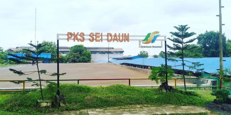 PKS Sei Daun PTPN 3 Terima Predikat Terbaik Produck Crude Palm Oil, Safety dan Lingkungan Hidup