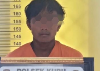 Pukul Kepala Warga, A Diamankan Opsnal Polsek Kubu