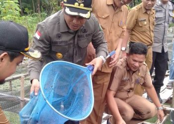 Wabup Bagus Santoso Panen Lele di Bantan Tengah, Berdayakan Kolam Bekas Galian Batu Bata
