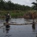 BPBD Bengkalis Lakukan Penyisiran Ke Lokasi Banjir, 10 KK Terdampak Banjir