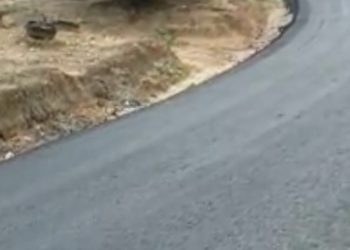 Bupati Kasmarni Akomodir Pembangunan Jalan Yang Dinanti Warga Bukit Kerikil Selama 22 Tahun