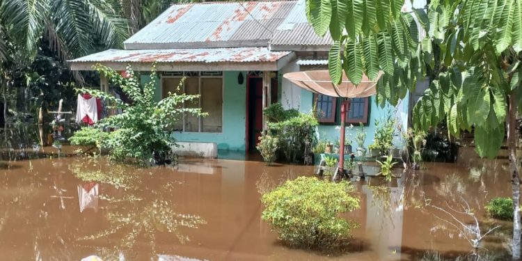 Hari ke 9 Banjir Dikecamatan Siak Kecil, BPBD Bengkalis Evakuasi 30 KK