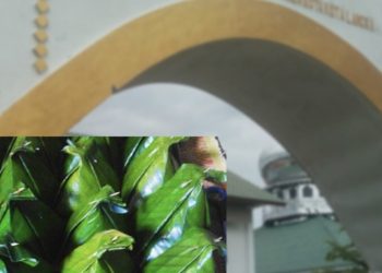 Dua Gampong Bertetangga Gelar Maulid Nabi Muhammad SAW Diwaktu Bersamaan
