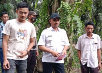 DLH Rohil Lakukan Verifikasi Terkait Dugaan Limbah PKS PT. HKBS Meluber