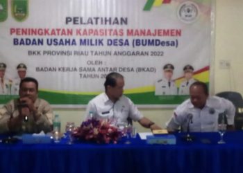 Tingkatkan Kapasitas Manajemen BUMDes, Kadis PMD Rohil Gelar Pelatihan