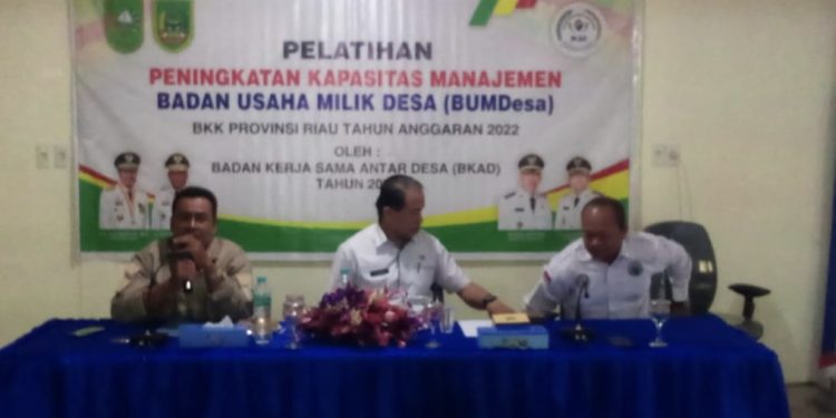 Tingkatkan Kapasitas Manajemen BUMDes, Kadis PMD Rohil Gelar Pelatihan