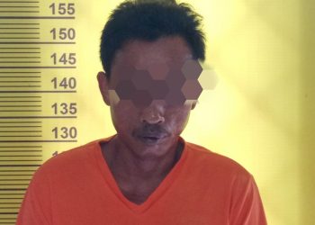 Cabuli Ponakan Dibawah Umur, Polsek Kubu Ringkus S