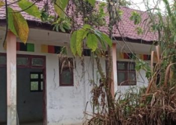 Gedung Sekolah Berdiri Di Hutan Kota Subulussalam, Pemerhati Pendidikan: Mubazir