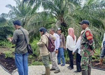 Tim LHK RI Langsung Turun ke Kawasan Longsor Bengkalis