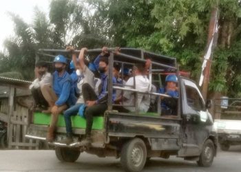 Pekerja: Kami Subkontraktor PT. IKPP, Tapi Diangkut Seperti Hewan