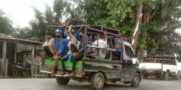 Pekerja: Kami Subkontraktor PT. IKPP, Tapi Diangkut Seperti Hewan