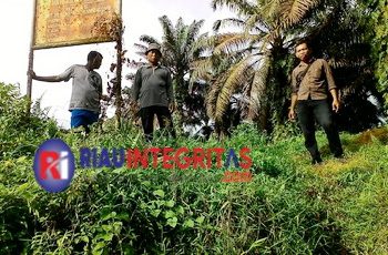 Umar Desak RSPO Dan ISPO PT Inti Indosawit Subur Ditangguhkan Karena Tidak Ramah Lingkungan