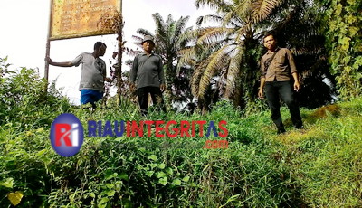 Umar Desak RSPO Dan ISPO PT Inti Indosawit Subur Ditangguhkan Karena Tidak Ramah Lingkungan