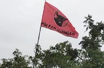 Sorotan : Kota Langsa Memerah, Bendera Partai PDI-P Berkibar Hingga Kepelosok Desa
