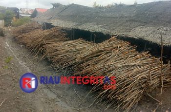 APH Diminta Tangkap Perusak Hutan Bakau Dan Toke Arang Sungai Lung Kota Langsa