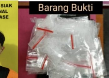 Miliki BB 11 Paket Sabu, Pemuda Perawang Dibekuk Satres Narkoba Polres Siak