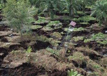 Sedulur Jokowi Dan AMP3T-NKRI Bengkalis Dorong Percepatan Perpres Pengelolaan Pulau Terluar