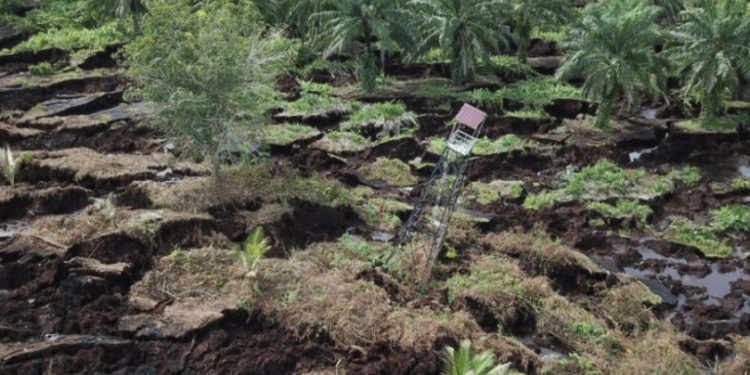 Sedulur Jokowi Dan AMP3T-NKRI Bengkalis Dorong Percepatan Perpres Pengelolaan Pulau Terluar
