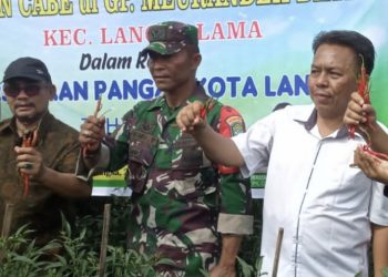 Pj Walikota Langsa Panen Cabe Program Ketahanan Pangan Gampong Meurandeh Dayah