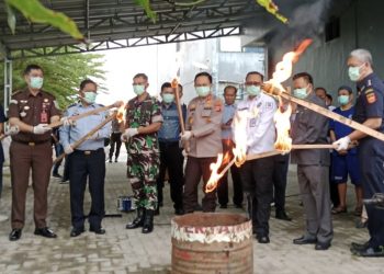 BNN Babel Musnahkan 15,7 Kilo Ganja Asal Aceh