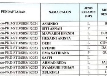 Panwascam Sultan Daulat Diduga Tebang Pilih, Ada Dugaan Nepotisme Dalam Pelolosan PKD