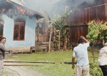Api Hanguskan Rumah Dan Sarang Burung Waled Di Desa Belukur Makmur