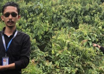 PH: Kami Minta Klarifikasi Pihak Pertanahan Kota Padang Terkait Lahan Klien Kami 