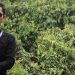 PH: Kami Minta Klarifikasi Pihak Pertanahan Kota Padang Terkait Lahan Klien Kami