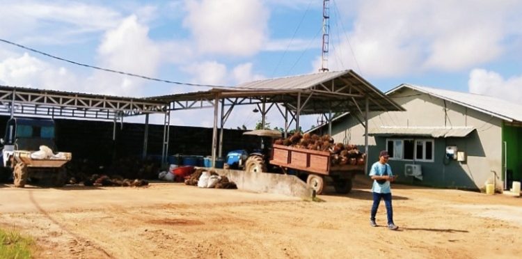 Diduga PT HBA Merambah Kawasan HL, Sulit Tersentuh Hukum?