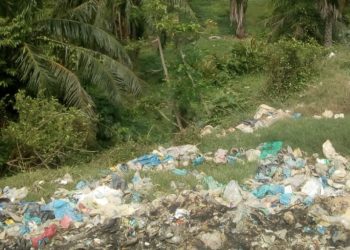 TPA Sampah Milik DLH Aceh Timur Telah Mematikan Tamanan Sawit, Masyarakat Minta Ganti Rugi