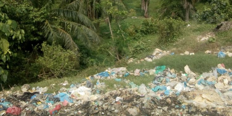 TPA Sampah Milik DLH Aceh Timur Telah Mematikan Tamanan Sawit, Masyarakat Minta Ganti Rugi