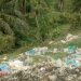 TPA Sampah Milik DLH Aceh Timur Telah Mematikan Tamanan Sawit, Masyarakat Minta Ganti Rugi