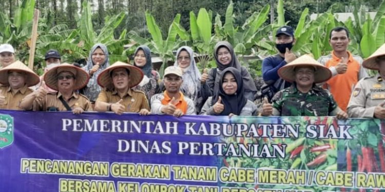 Kapolsek Tualang Turut Galakan Tekan Laju Inflasi, Dengan Penanaman Sibuah Pedas