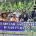 Kapolsek Tualang Turut Galakan Tekan Laju Inflasi, Dengan Penanaman Sibuah Pedas