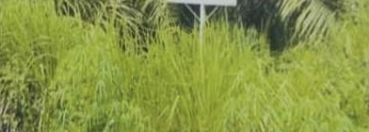Kalah di PTUN Pekanbaru dan MA Tarmizi Akhmad Cs Ajukan PK, Siapa Dibelakang Tarmizi?