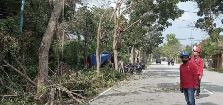 Bersihkan Pohon, PLN Bengkalis Antisipasi Listrik Padam Bulan Ramadhan