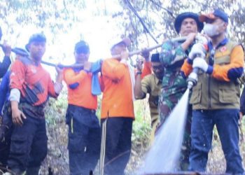 Wabup Bagus Santoso, Forkopimda dan Warga Berjibaku Padamkan Api