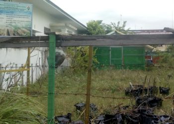 Parah, Program Ketahanan Pangan Tahun 2022 Gampong Daulat Diduga Formalitas