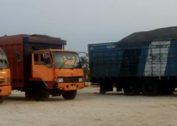 10 Unit Truk Angkut Cangkang Sawit Ke Pelabuhan Kuala Langsa Tertunda