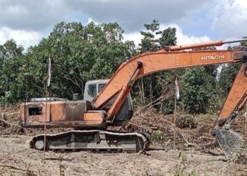 Buka Lahan Dikawasan Hutan Lindun, Warga Dendang Gunakan Alat Berat
