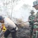 Sinergi Polres Bengkalis dan Kodim 0303 Padamkan Karlahut