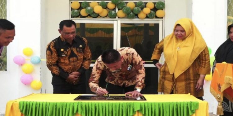 Afrizal Sintong Resmikan UPT Instalasi Farmasi Dinas Kesehatan