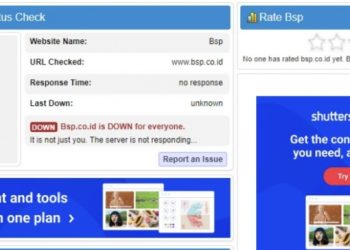 Server Website BSP Down, Zulkardi; Perusahaan Elit, Layanan Sulit