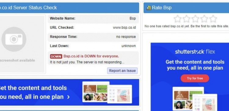 Server Website BSP Down, Zulkardi; Perusahaan Elit, Layanan Sulit