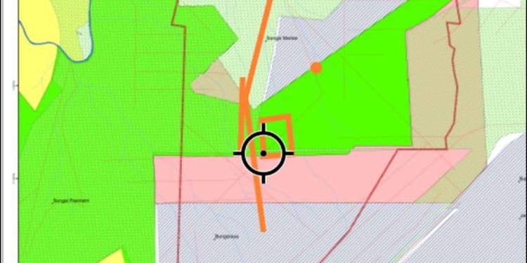 Aduh, Kawasan Hutan di Bengkalis di Garap Jadi Kebun Sawit