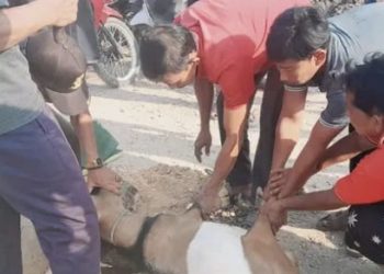 Giat Sakral Tiap Tahun, PemDes Sungai Linau Gelar Bersih Desa