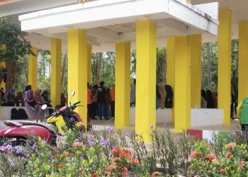 Kadis DLH Rohil Tinjau Lokasi Peringatan HLH Sedunia 2023 
